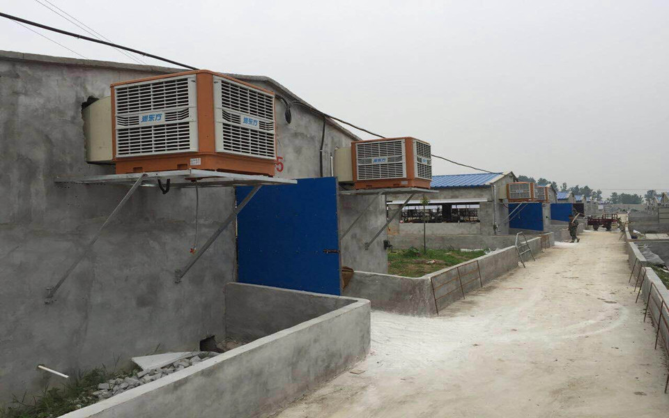一定要關(guān)注！今天正式拉開瑞昌2016養(yǎng)豬場(chǎng)通風(fēng)降溫旺季序幕！
